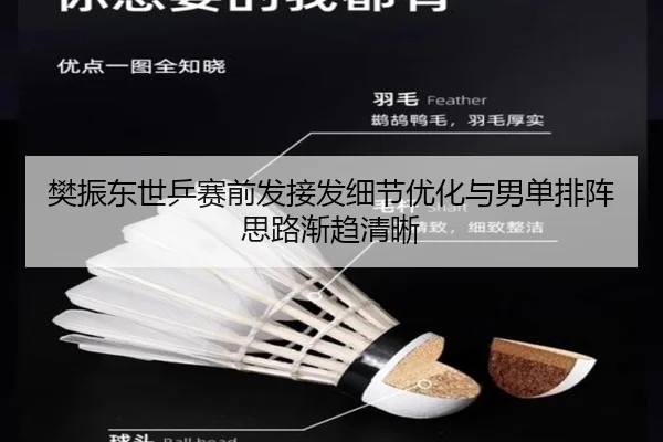 樊振东世乒赛前发接发细节优化与男单排阵思路渐趋清晰